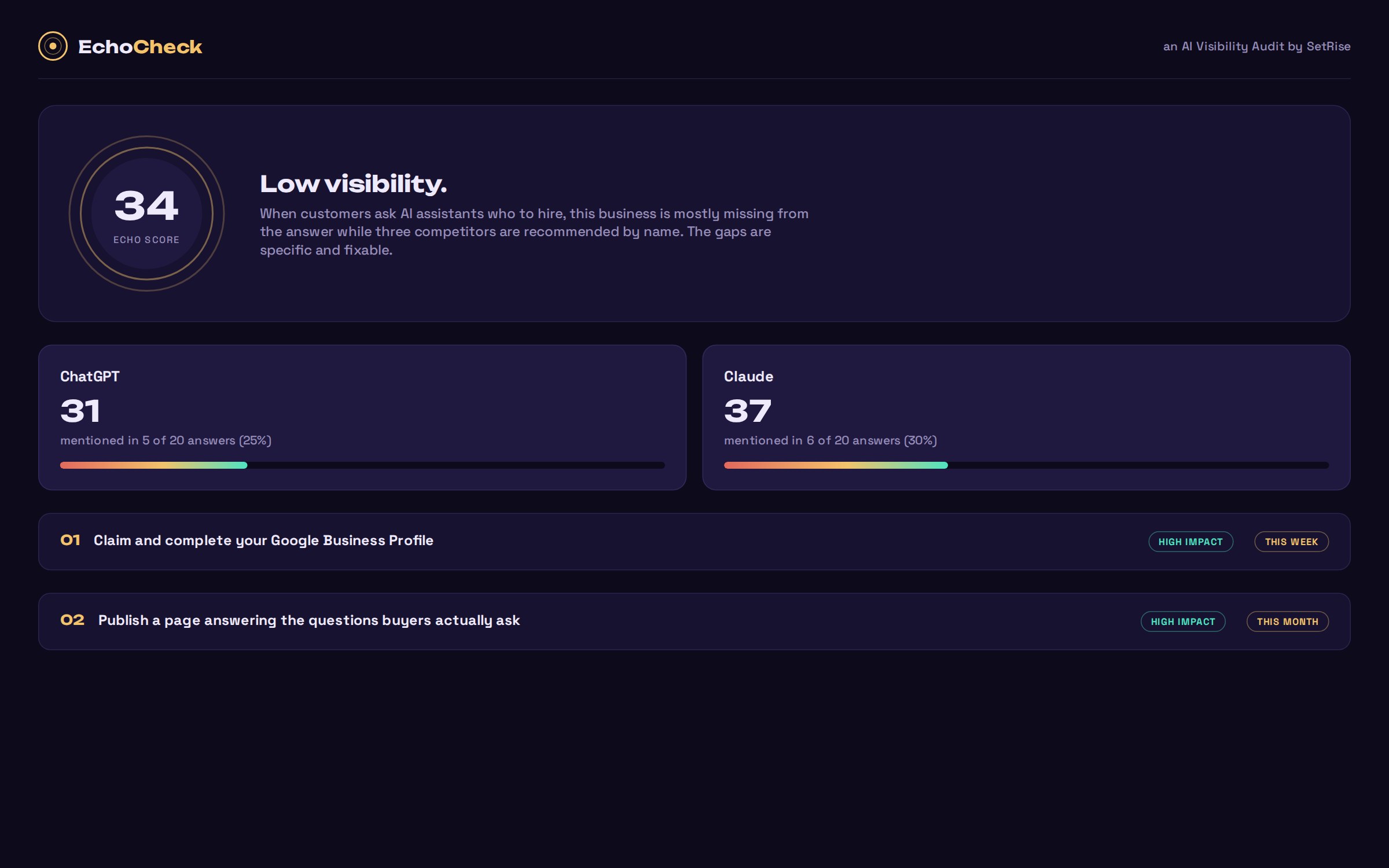 EchoCheck: AI visibility audit dashboard with echo score and action plan